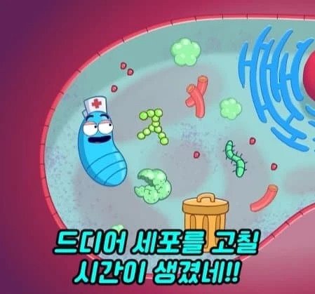 36시간 단식하면 몸에 나타나는 영향