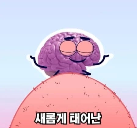 36시간 단식하면 몸에 나타나는 영향