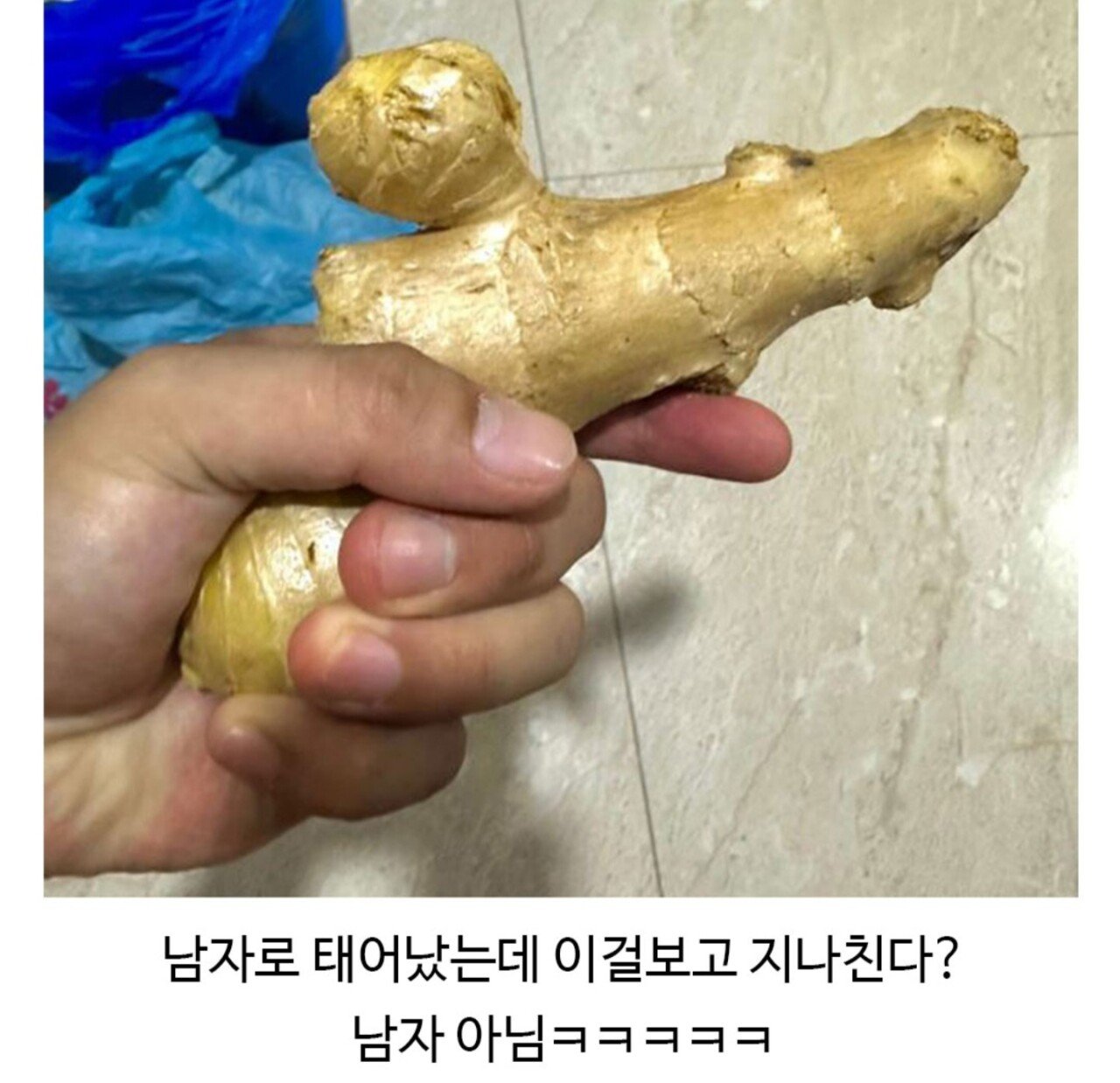 필요도 없는 생강을 산 이유