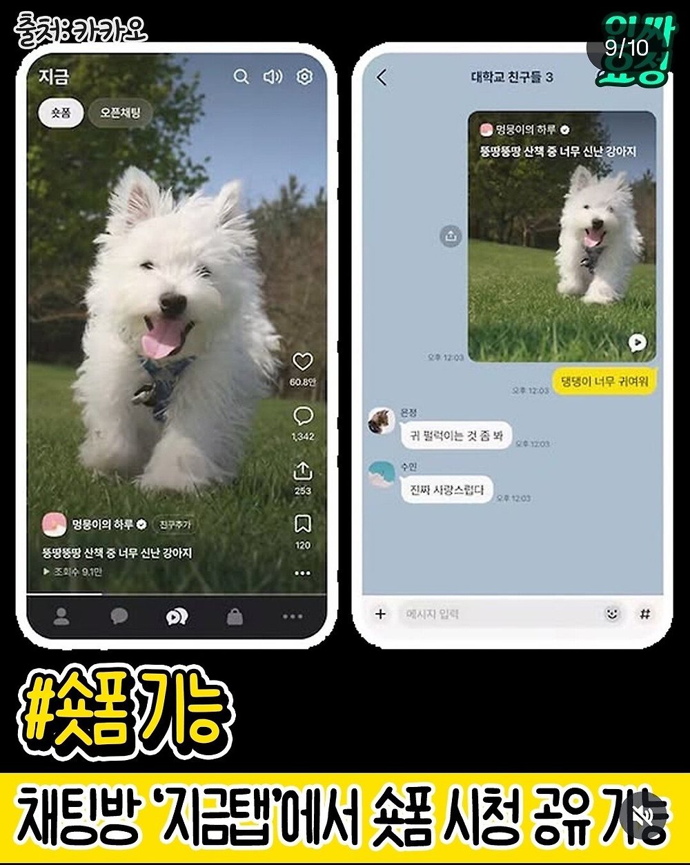 이번 카카오톡 업데이트 총정리