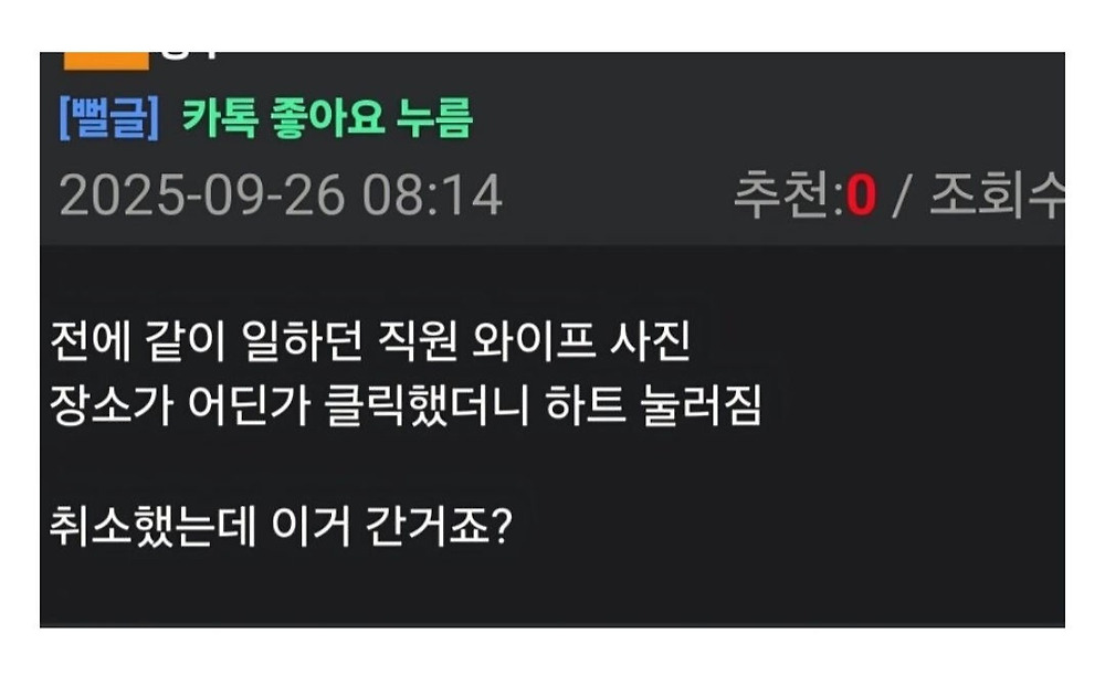 카카오톡 업데이트 근황