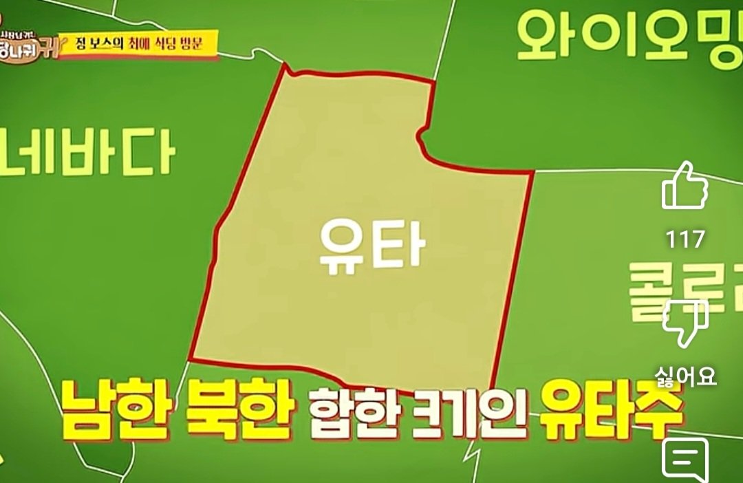 [사당귀] 해외에서 성공한 컵밥 CEO가 한국에 진출 못하겠다고 한 이유