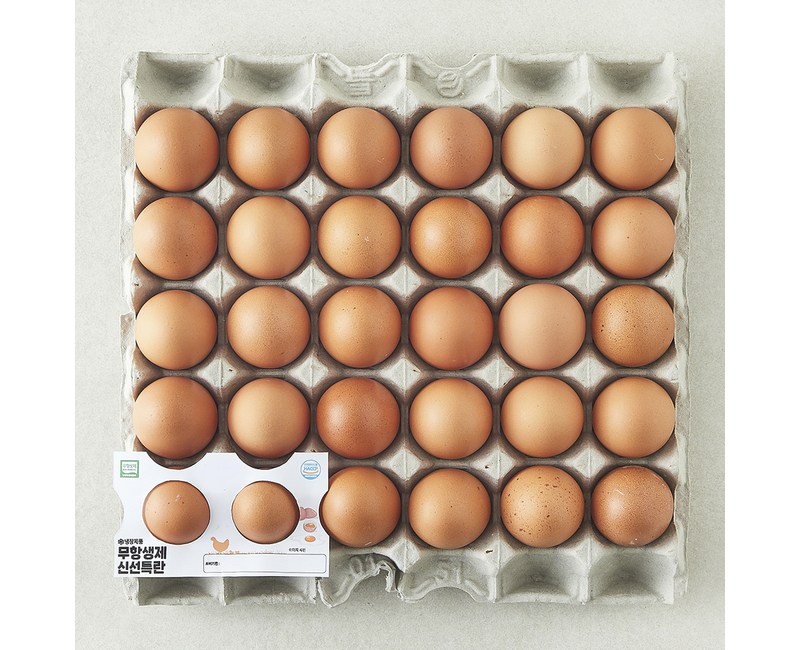 [로켓프레시] 무항생제 신선 특란 1.8kg