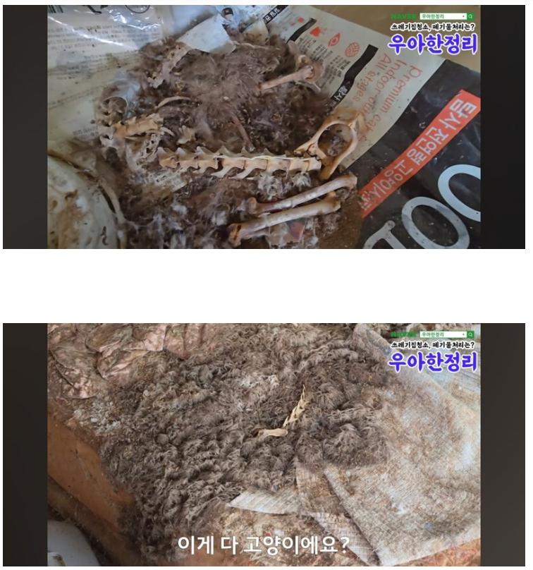 혐)) 청소비 2000만원 나온 역대급 집 ㄷㄷㄷ