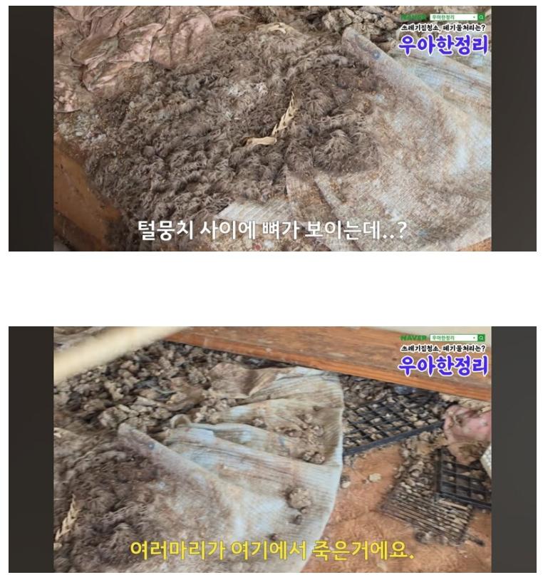 혐)) 청소비 2000만원 나온 역대급 집 ㄷㄷㄷ