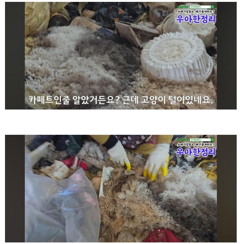 혐)) 청소비 2000만원 나온 역대급 집 ㄷㄷㄷ