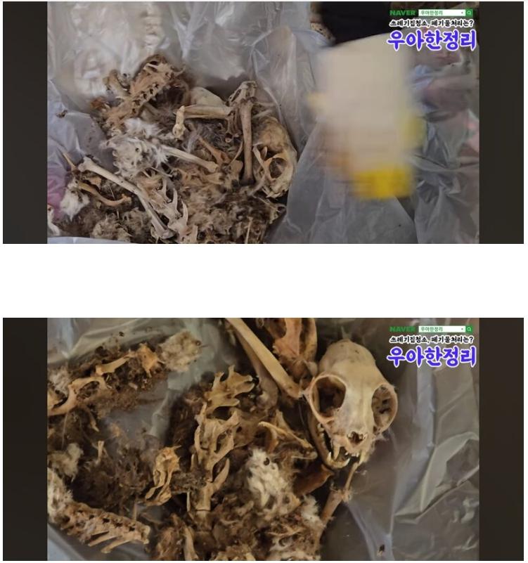 혐)) 청소비 2000만원 나온 역대급 집 ㄷㄷㄷ