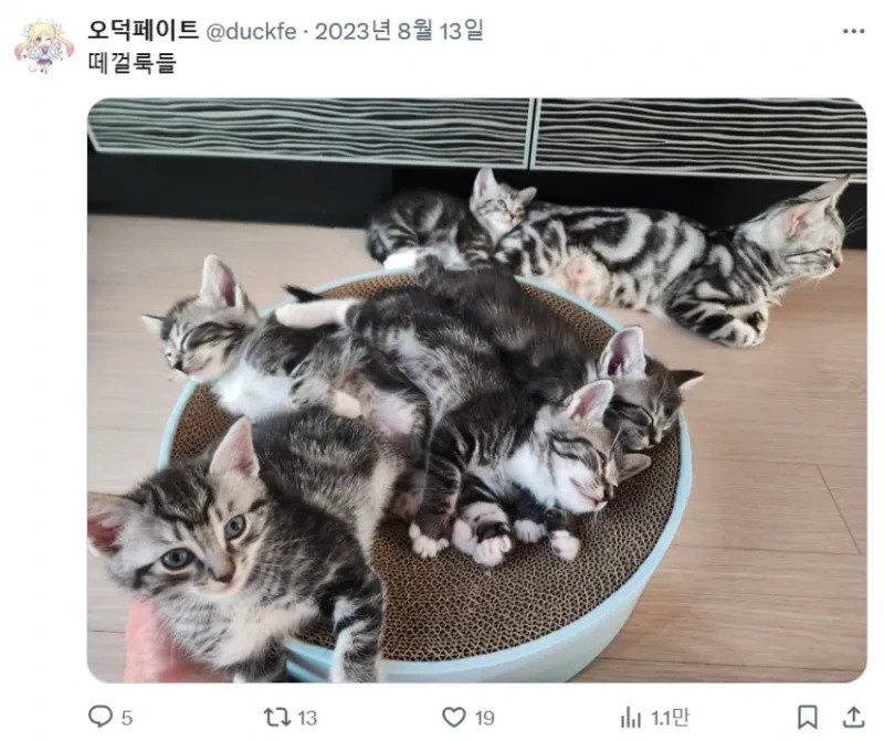 화성인 바이러스 오덕 페이트 근황