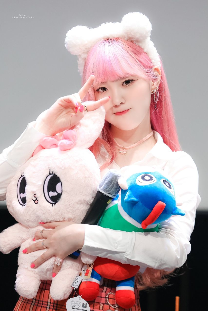 케플러 김채현