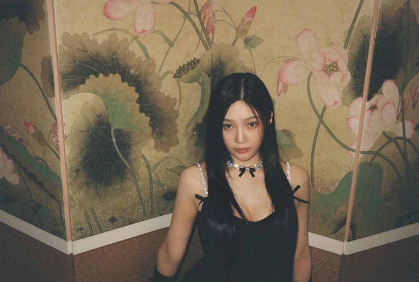 레드벨벳 조이