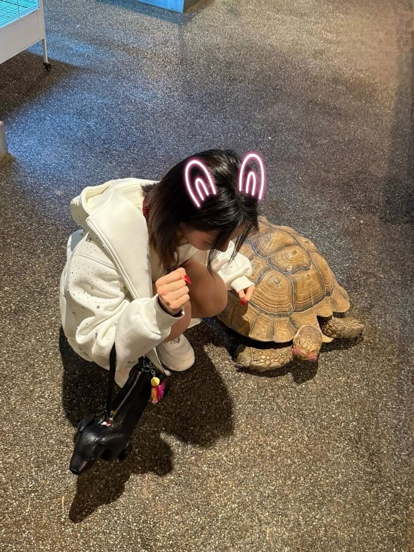 하이키 휘서