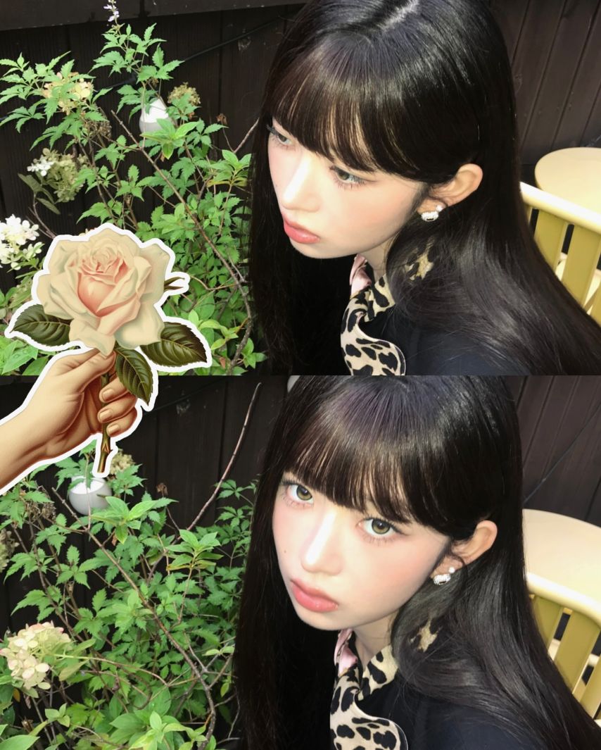 아이브 레이,이서