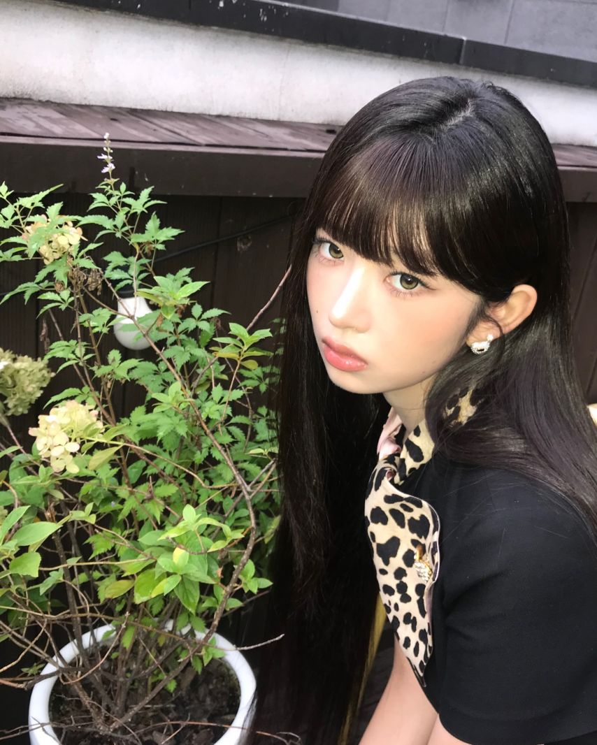 아이브 레이,이서