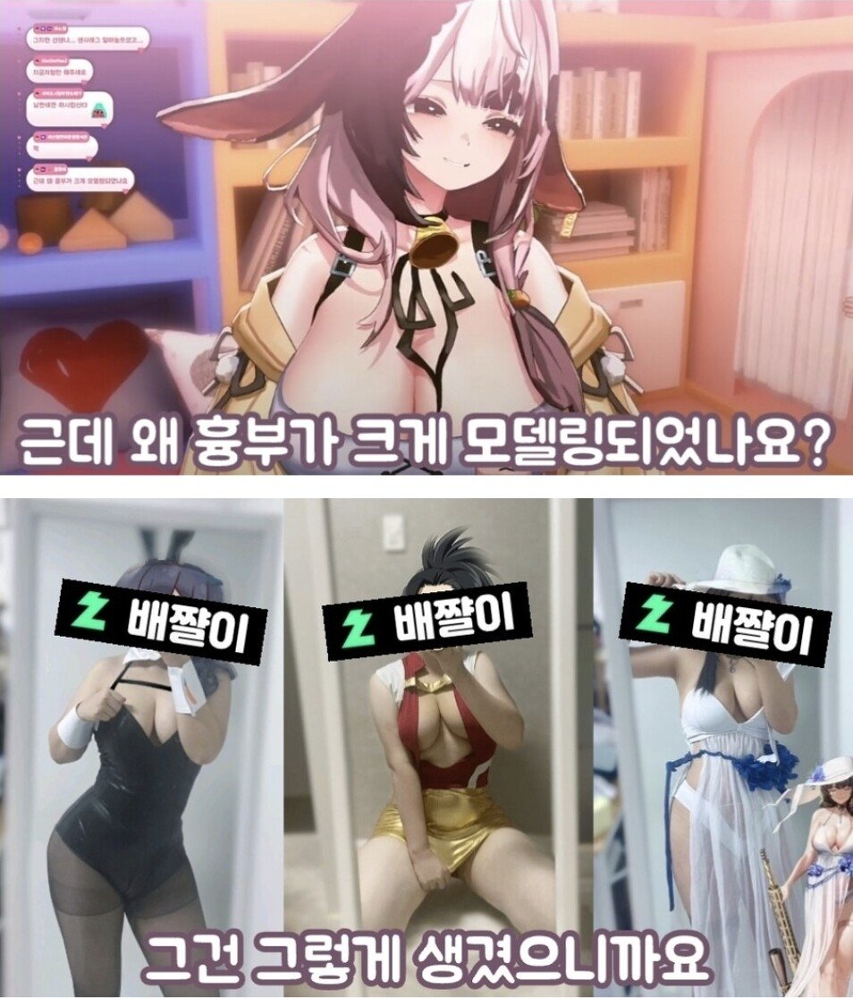 ㅇㅎ) 가슴 모델링 크게 한 이유를 밝힌 버튜버 ㄷㄷ