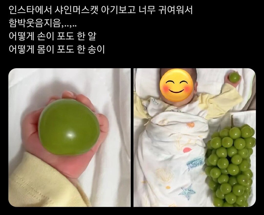 샤인머스켓 한 알 크기.