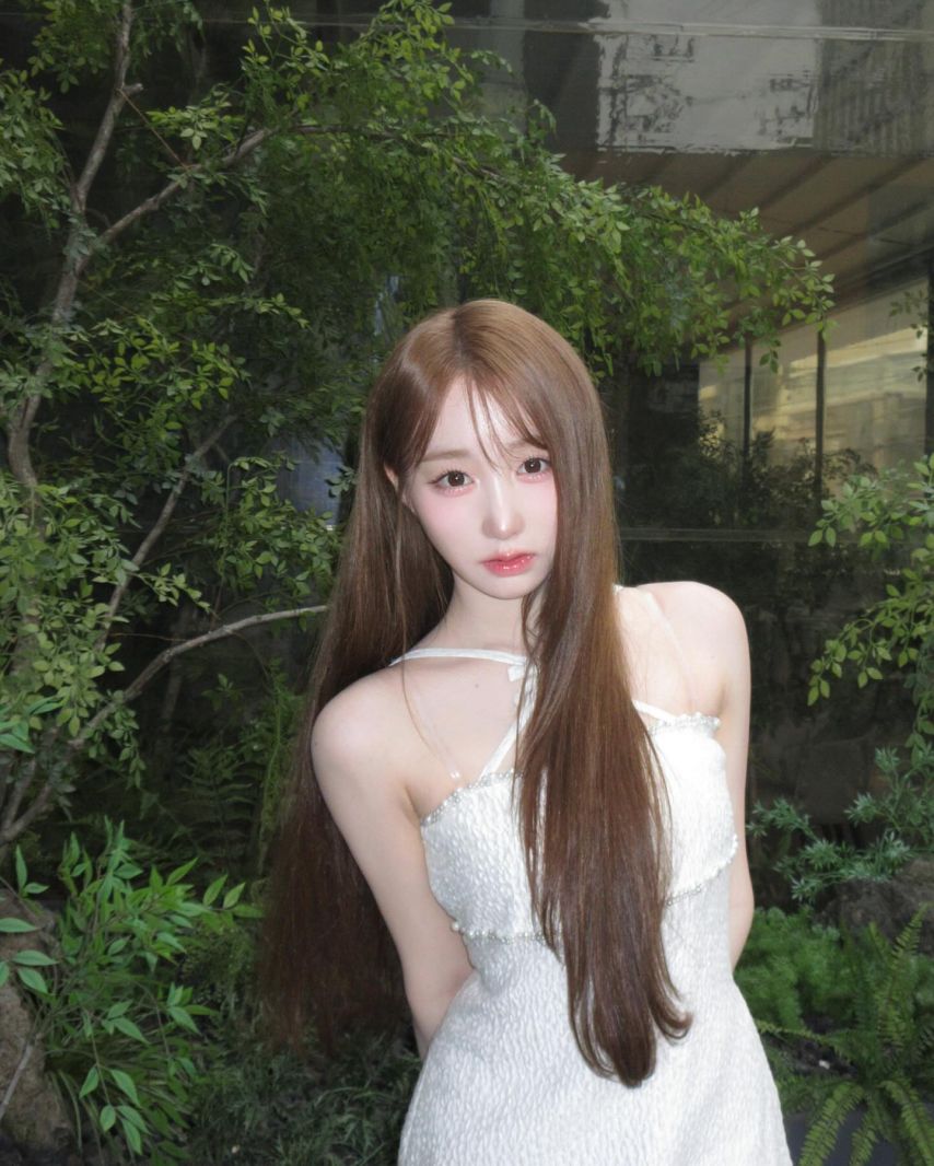 세이마이네임 메이