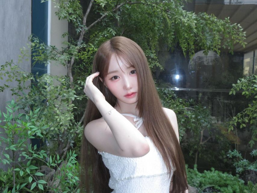 세이마이네임 메이