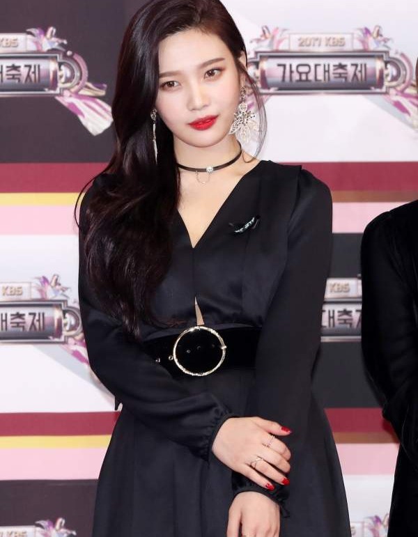 레드벨벳 조이