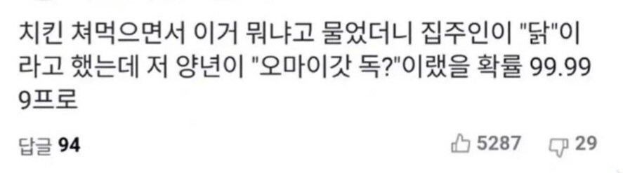 한국에서 개고기를 실수로 먹었다는 영국여자