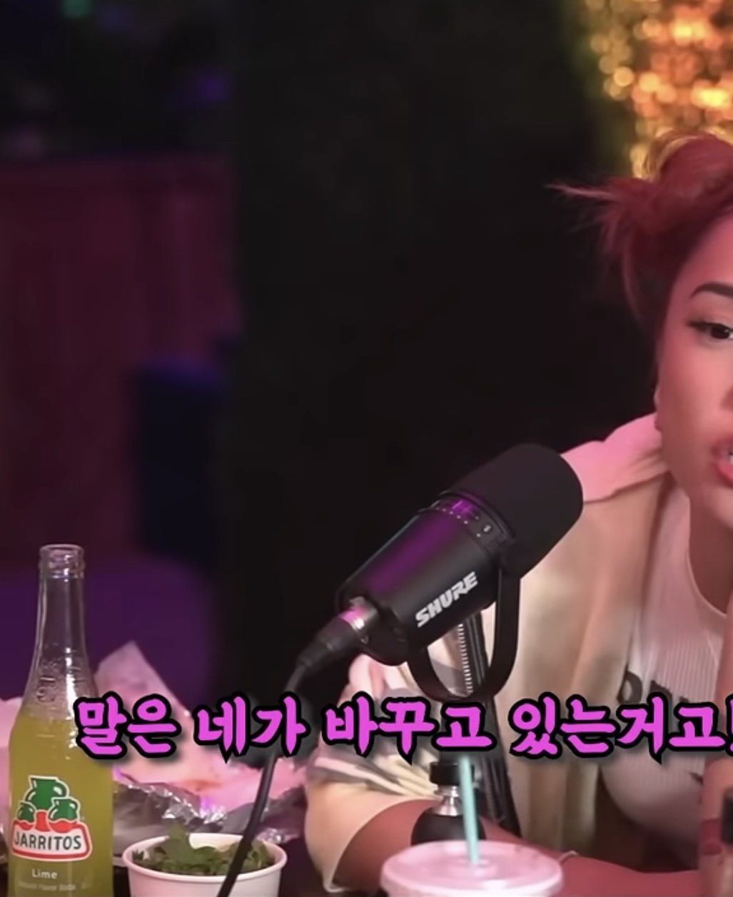 온리팬스 모델겸 페미니스트를 말로 패는 촉법소년