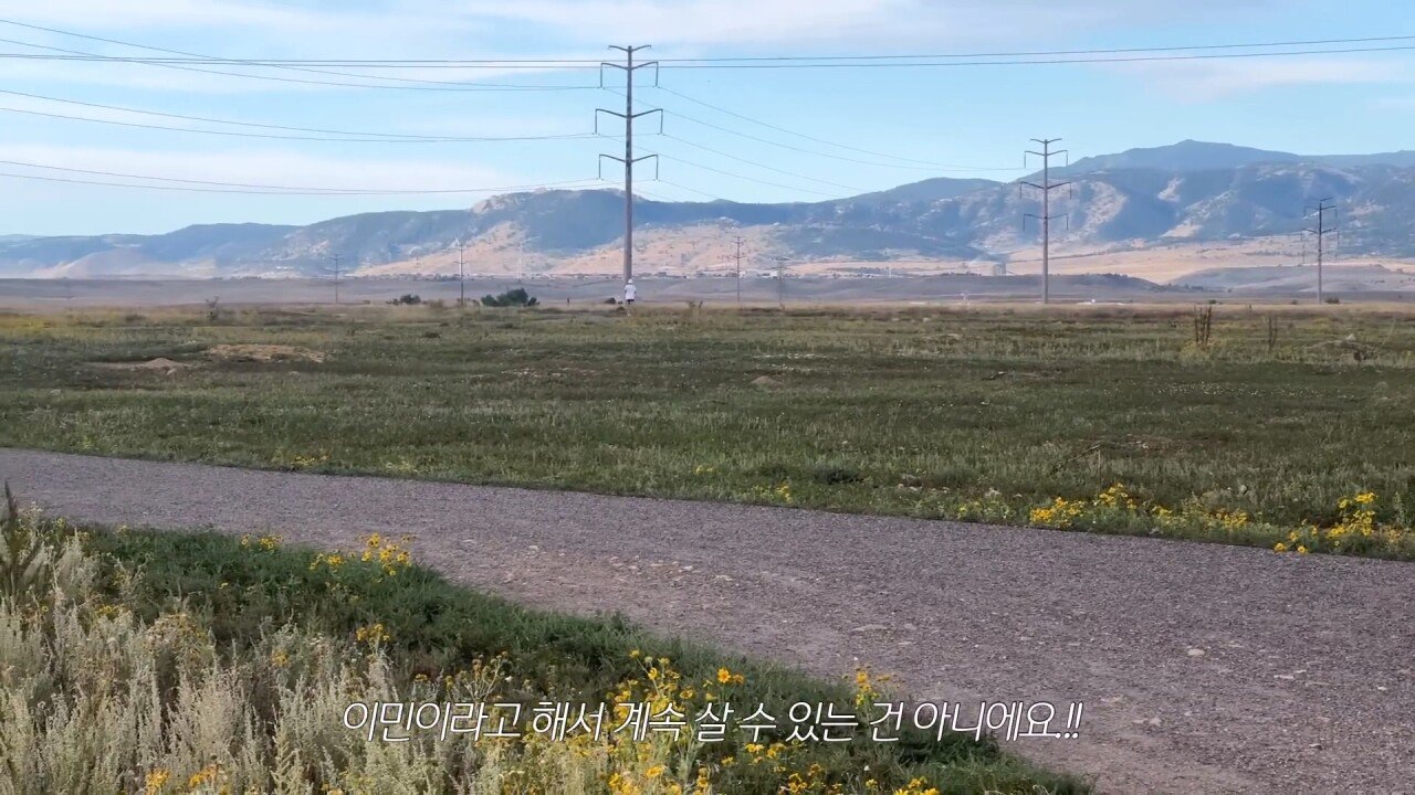백인들이 주로 사는 동네에 사는 한국 가정