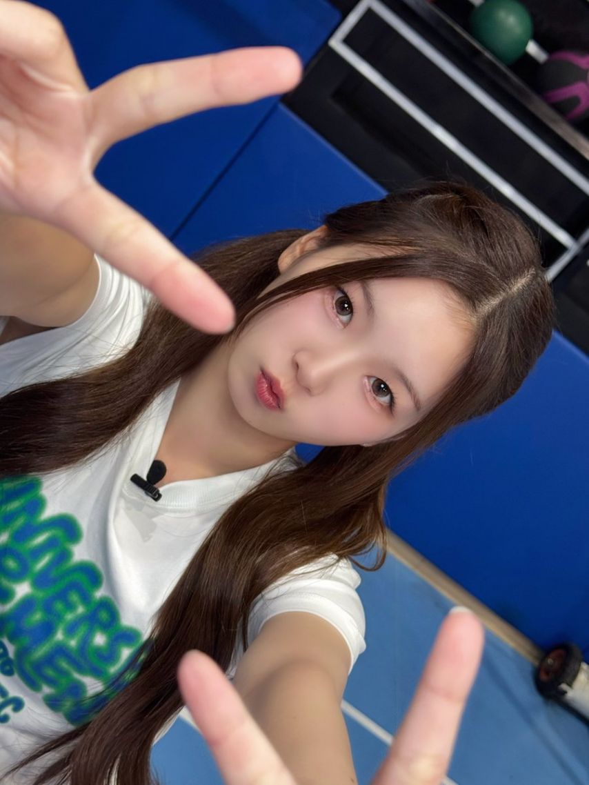 힛지스 이유
