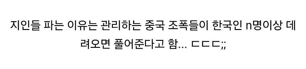 오싹오싹 디시의 캄보디아 취업사기 실제사례들