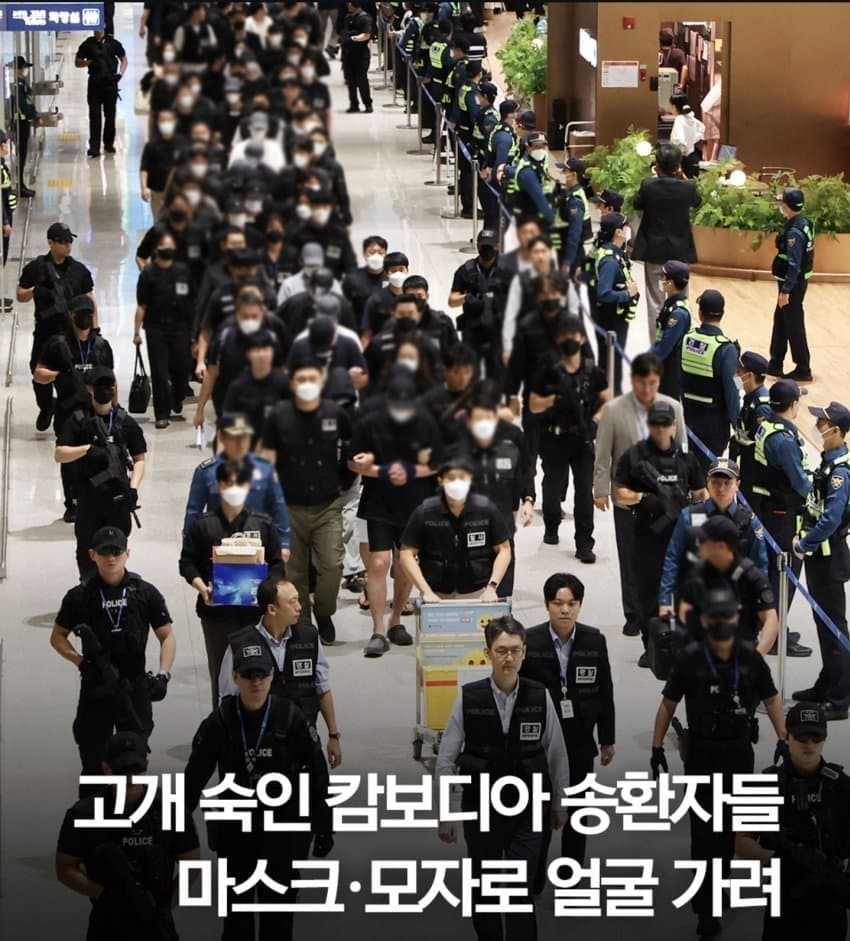 강제 송환된 캄대남들 현황 ㄷㄷㄷㄷ