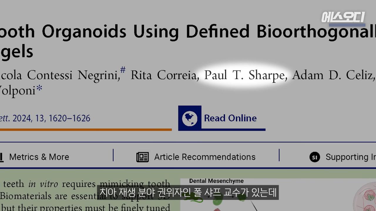 일본의 치아 재생 연구보다 더 주목 받고 있다는 영국 연구