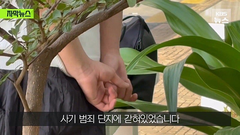 주 캄보디아 대한민국 대사관 근황 ㅋㅋㅋ