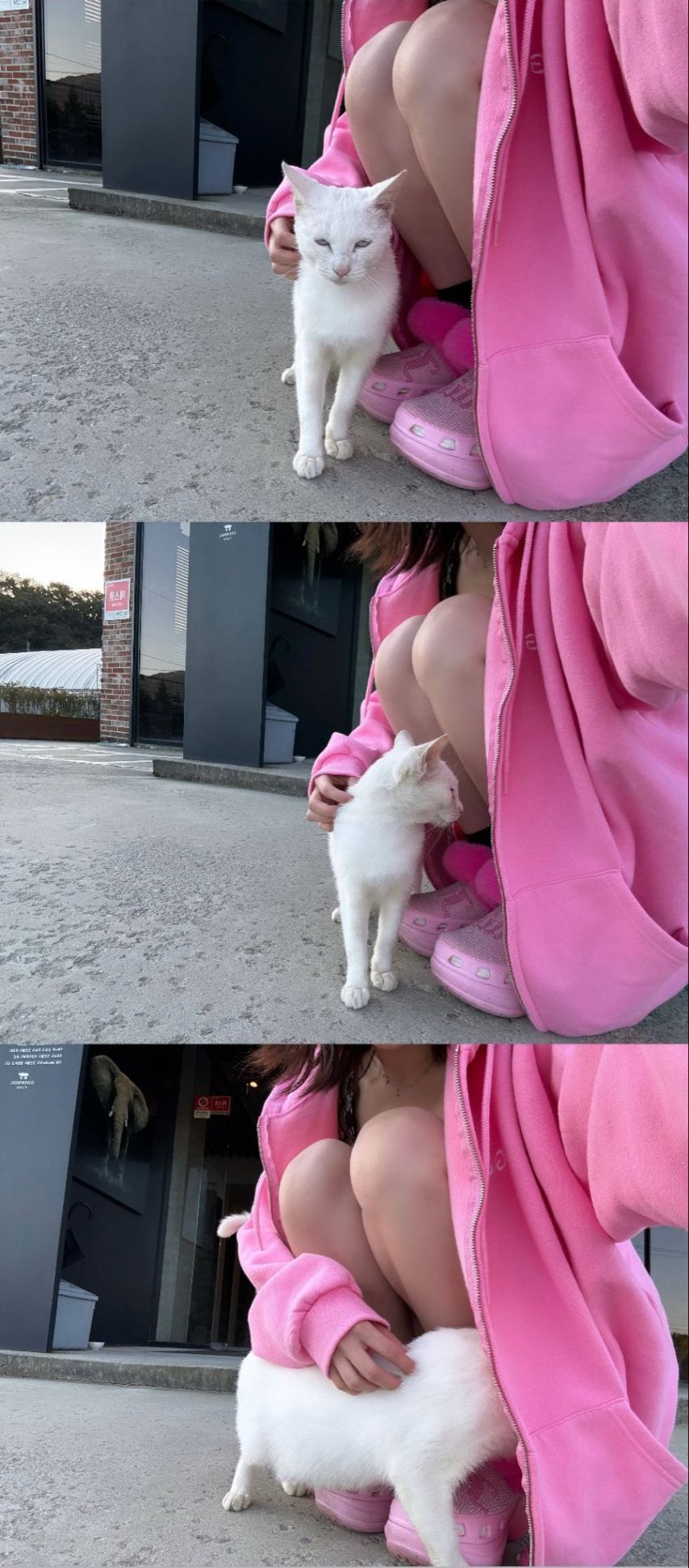 하이키 서이, 휘서