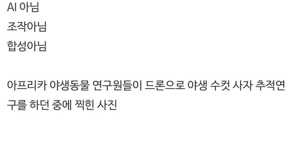 올해의 드론사진 어워드 위너 작품