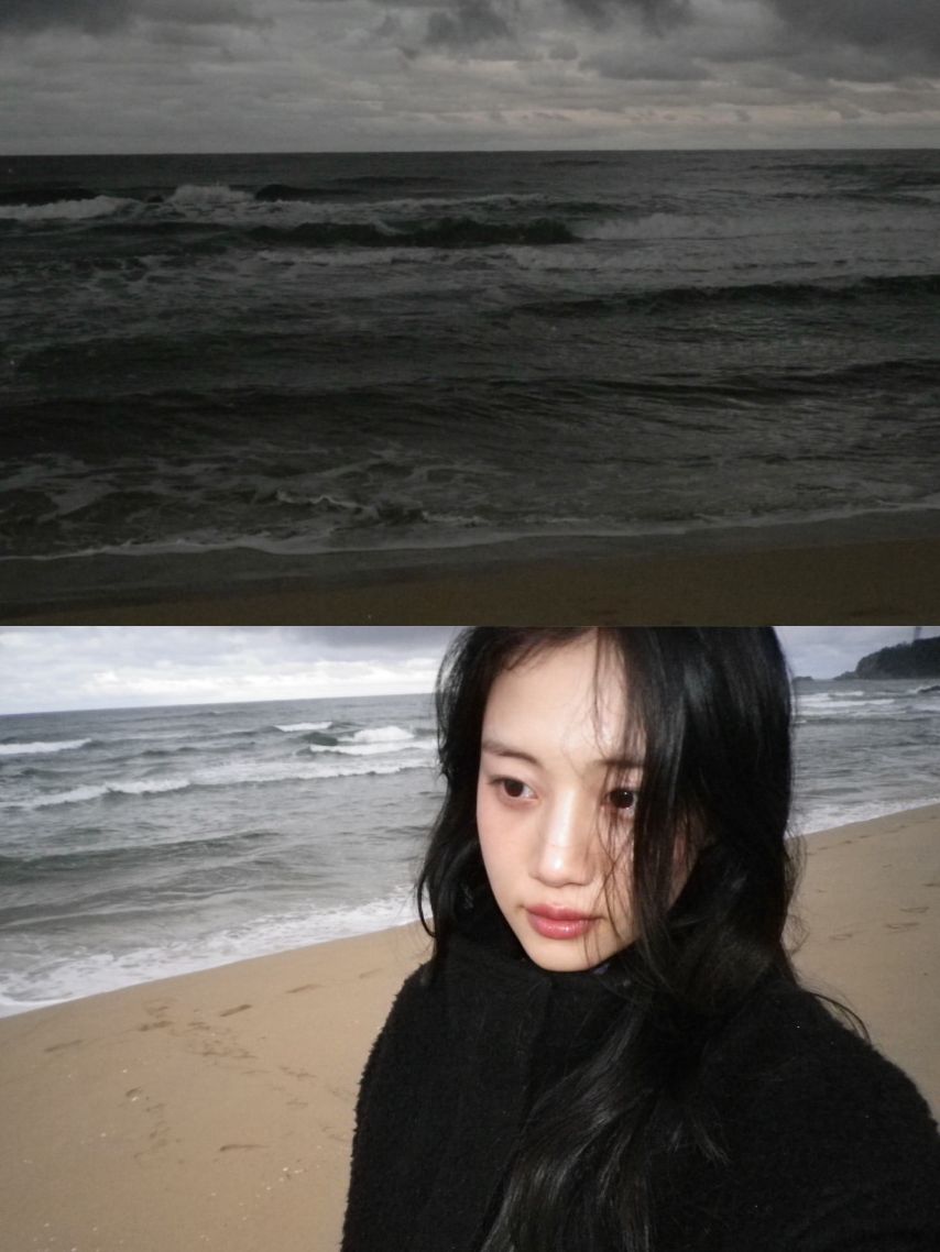 홍화연