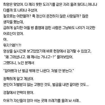 도예공방 앞 도자기들을 모조리 깬 범인