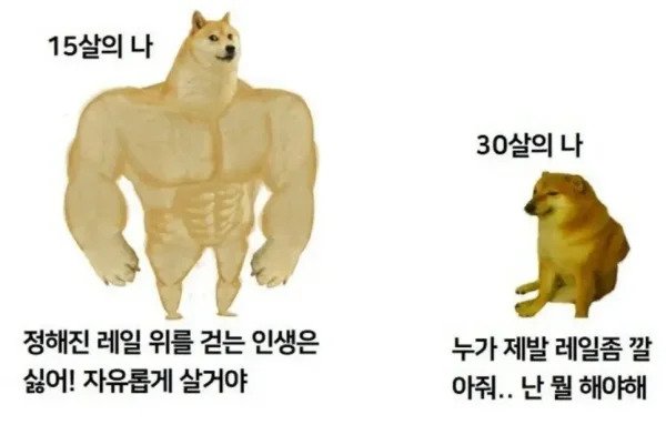 20대 후반이되면 무서워지는거