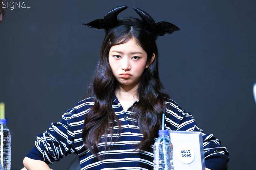 아이브 레이 251026