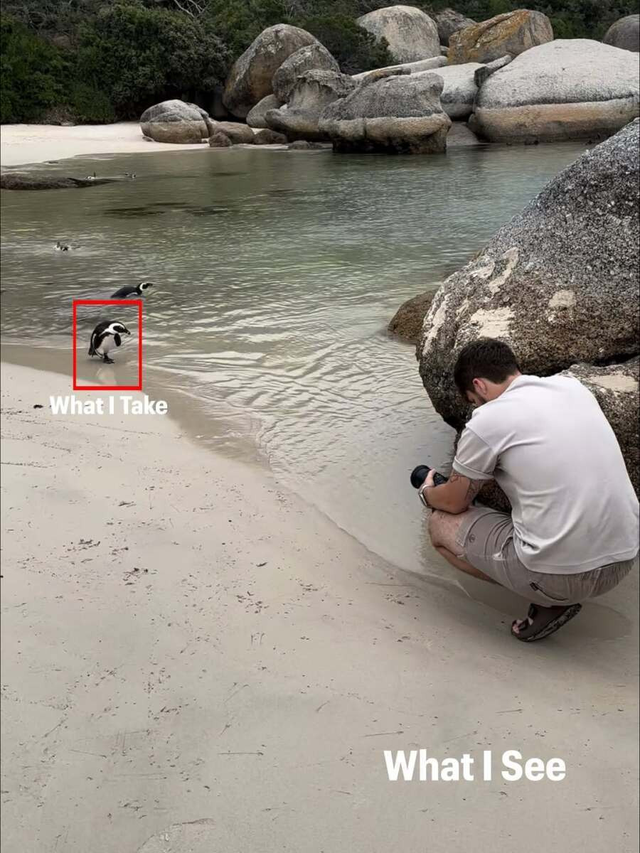 사진작가의 관점과 찍은 사진들
