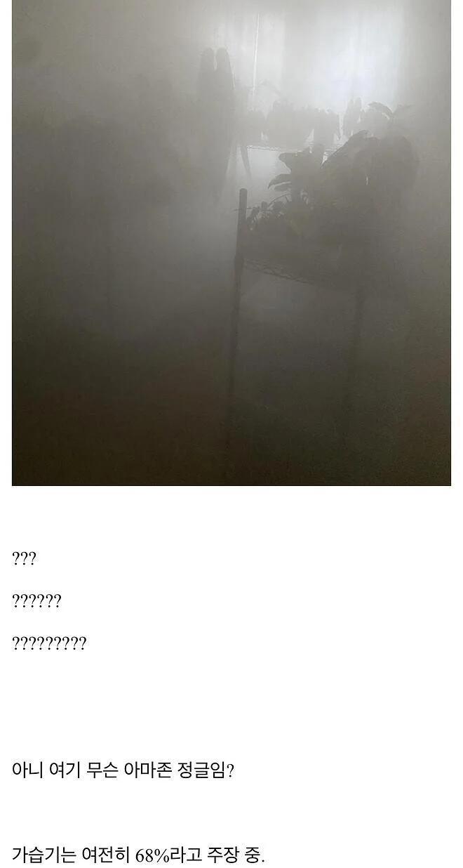 미쳐버린 가습기 성능 인증샷 레전드 ㄷㄷ