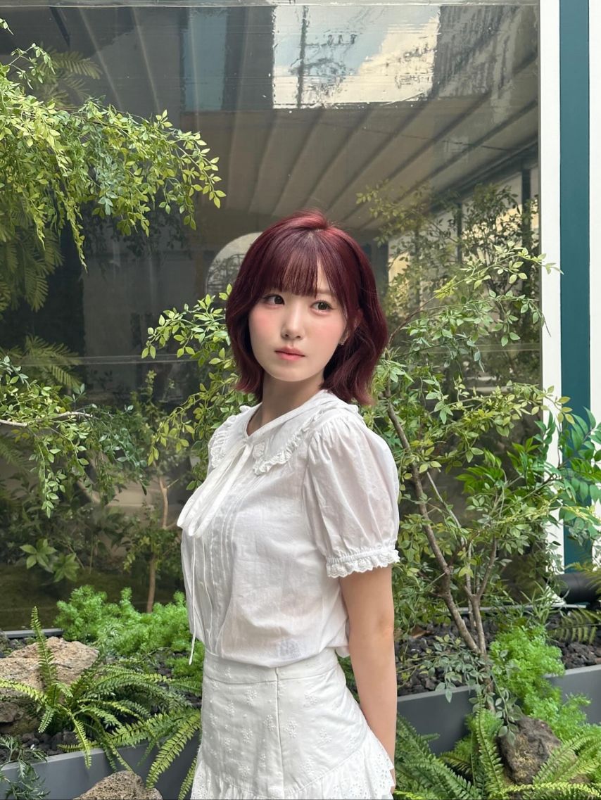 세이마이네임 히토미