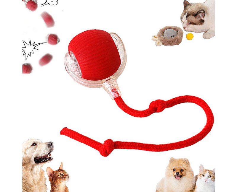 링펫 고양이 볼 자동장난감