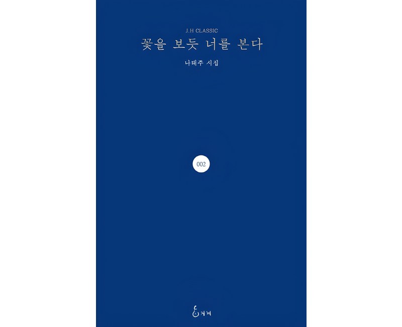 꽃을 보듯 너를 본다:나태주 시집