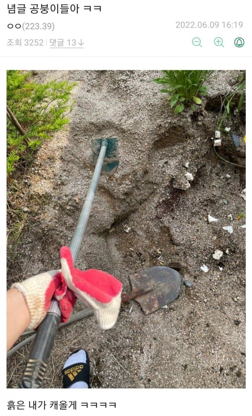 근무지에서 대놓고 게임한다는 공익