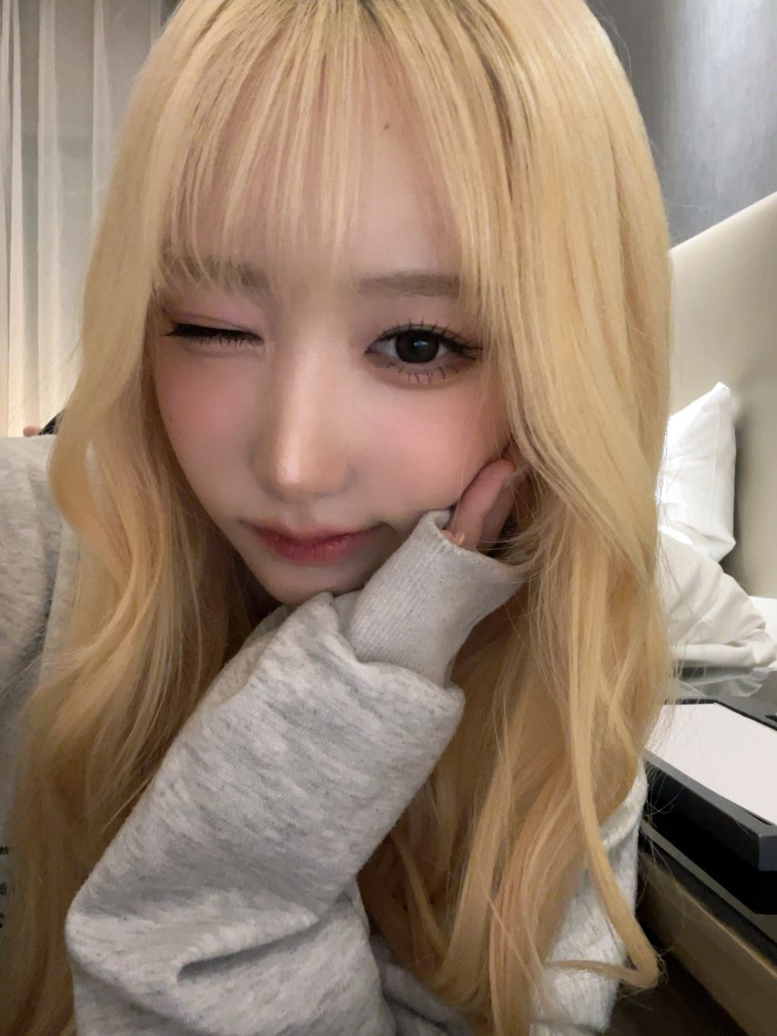 세이마이네임 메이