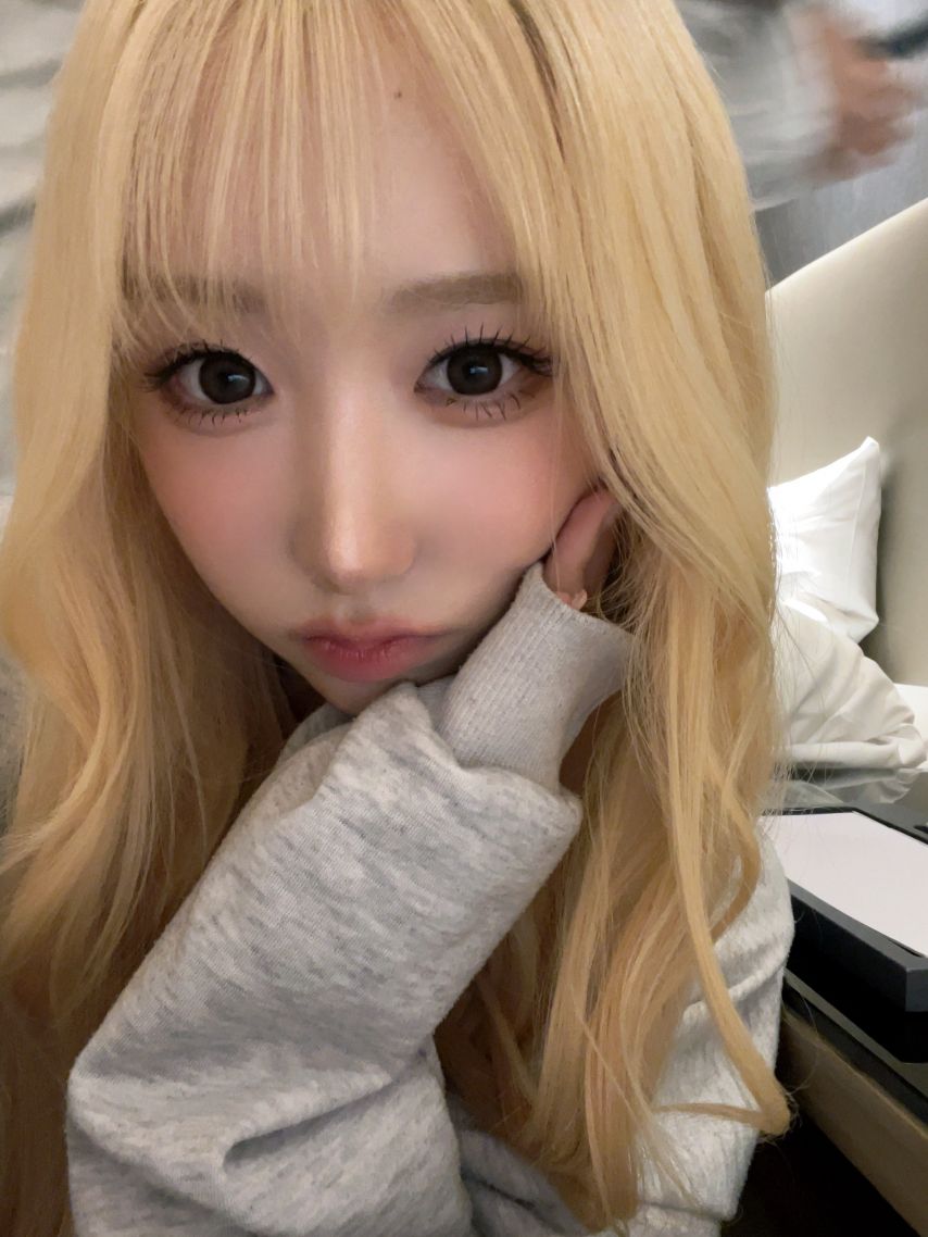 세이마이네임 메이