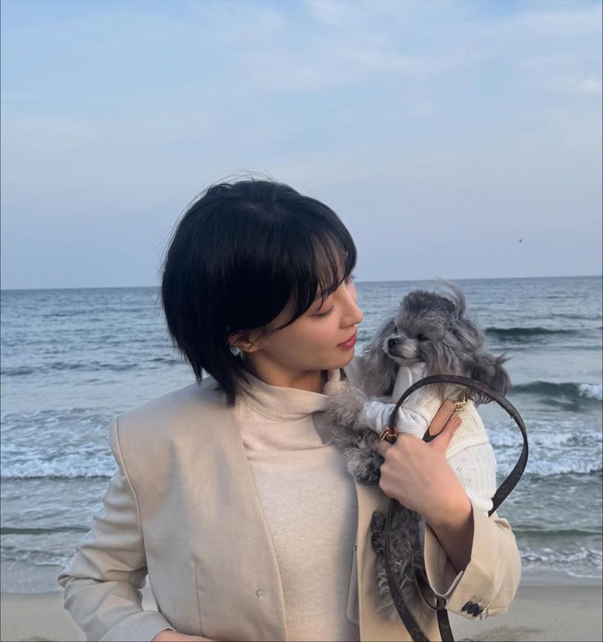 정혜성