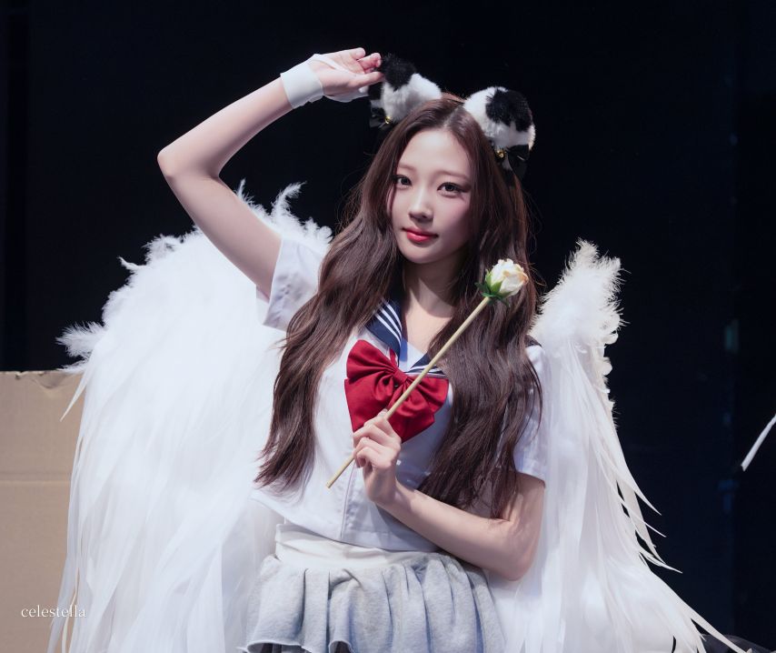 하츠투하츠 스텔라