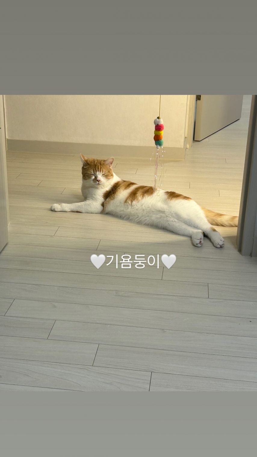 쏘블리