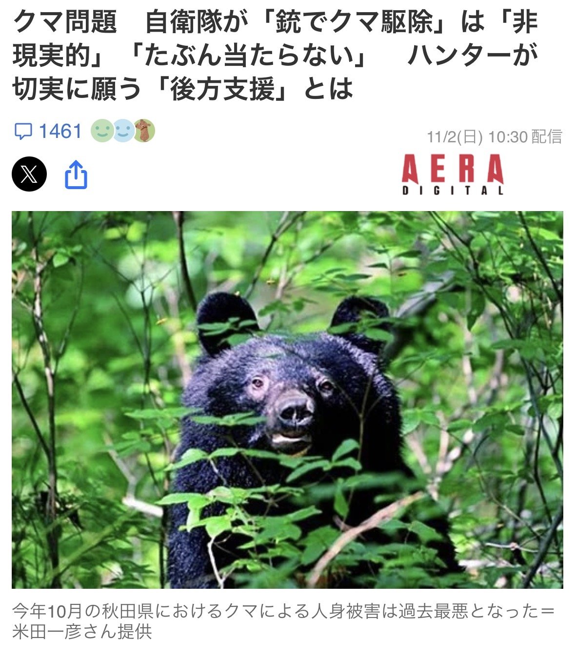 일본 곰 그거 자위대 파견해서 쓸어버리면 되는 거 아님? 에 대한 현지 사냥꾼의 의견
