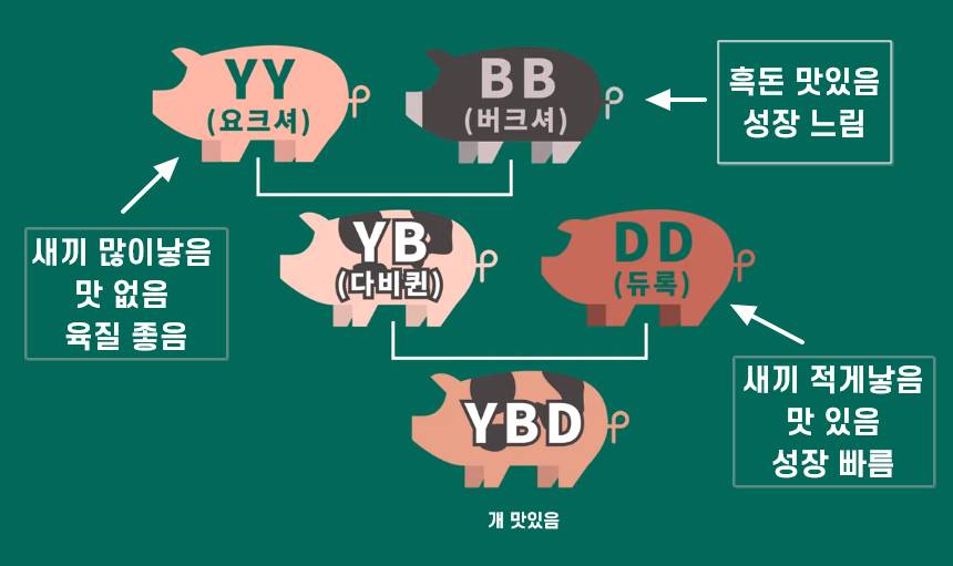 간단히 보는 요즘 삼겹살이 평타이상은 쳐주는 이유