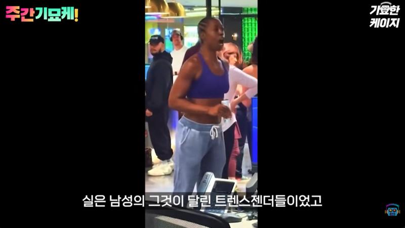 미국 PC주의 근황